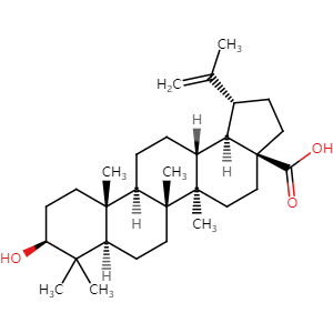 Betulinic acid, CAS No. 472-15-1, YCP0204