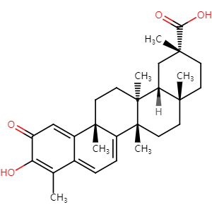 Celastrol, CAS No. 34157-83-0, YCP0244