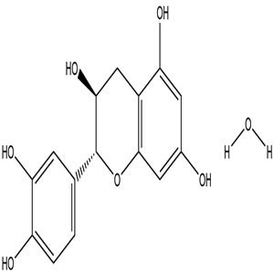 Catechin hydrate, CAS No. 225937-10-0, YCP0372