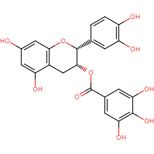 Epicatechin gallate, CAS No. 1257-08-5, YCP0395