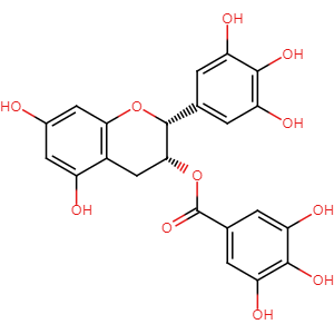 Epigallocatechin gallate, CAS No. 989-51-5, YCP0398