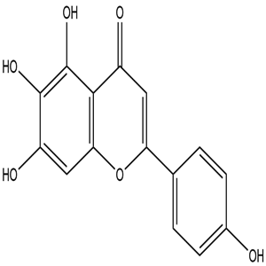 Scutellarein, CAS No. 529-53-3, YCP0968