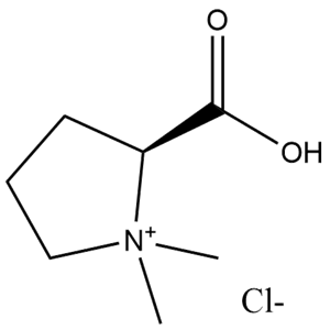 Stachydrine hydrochloride, CAS No. 4136-37-2, YCP1021