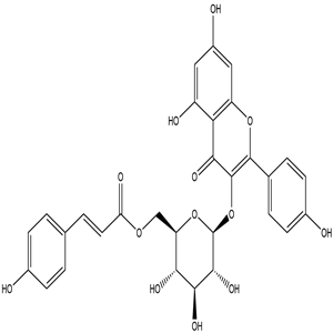 Tiliroside, CAS No. 20316-62-5, YCP1064