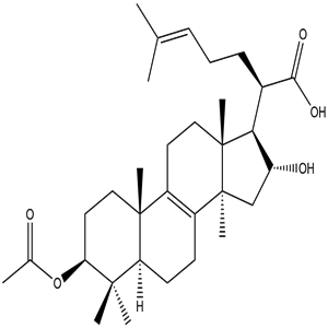 3-O-Acetyl-16alpha- hydroxytrametenolic acid, CAS No. 168293-13-8, YCP1333