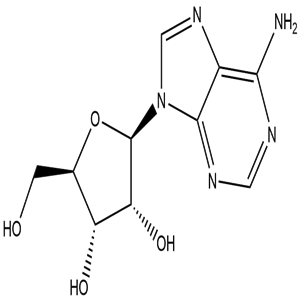 Adenosine, CAS No. 58-61-7, YCP1464