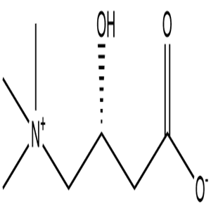 L-Carnitine, CAS No. 541-15-1, YCP2057